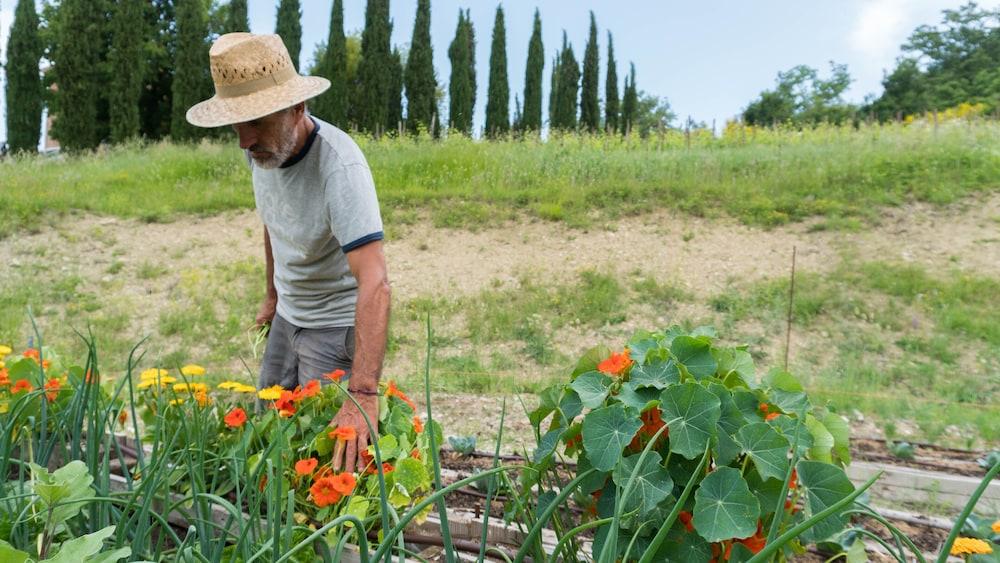 Agriturismo Monastero Di San Biagio Ночера Умбра Екстериор снимка