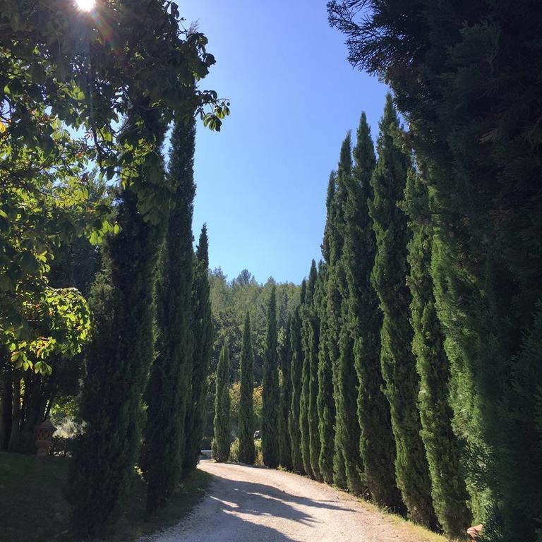 Agriturismo Monastero Di San Biagio Ночера Умбра Екстериор снимка