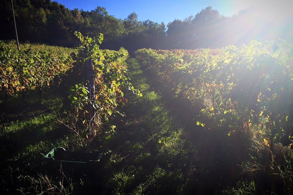 Agriturismo Monastero Di San Biagio Ночера Умбра Екстериор снимка